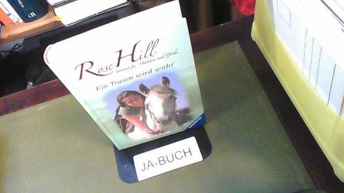 Ein traum wird wahr rose - traum,