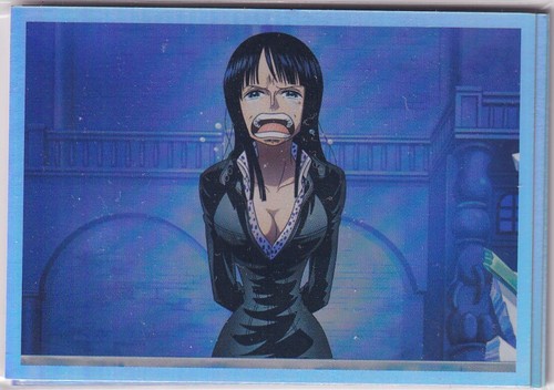 Panini one piece 25th - panini,