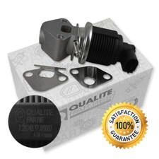 OEM ABGASRÜCKFÜHRUNGSVENTIL