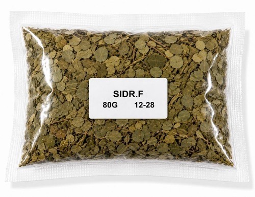 Betrocknetes sidr blätter - betrocknetes,