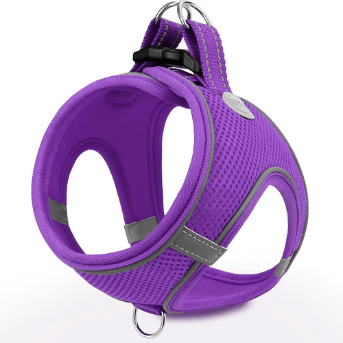 Hundegeschirr air mesh - hundegeschirr, air-mesh
