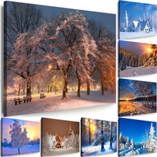 WANDBILDER Winter Natur