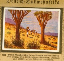 "Deutsch-Afrika" historischer