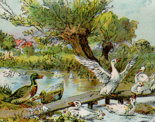 905 sammelbild alt kasseler - sammelbild,
