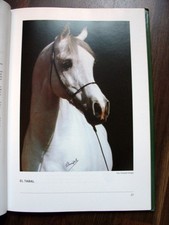 Araber Hengstbuch Europa 1989