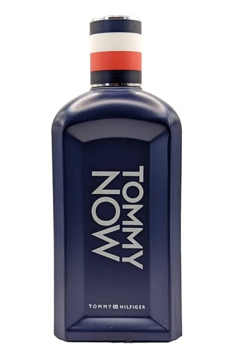 Tommy hilfiger herren parfum - tommy,