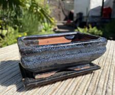 Bonsaischale Rechteckig Blau Schwarz Glasiert Tonschale