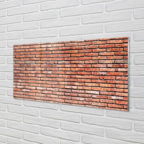 Tulup acrylglas 100x50 - tulup,