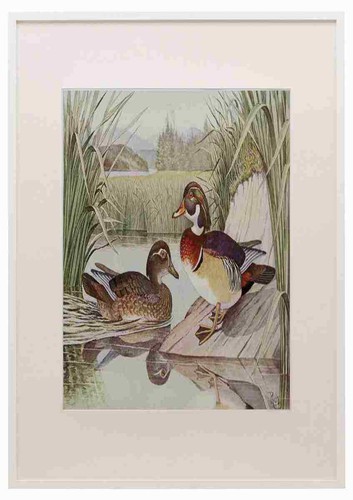 Rich b1866 spiel nordosten - wh,