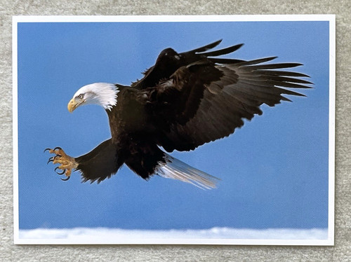 Postkarte amerikanischer - 1, ak
