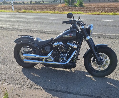 Harley davidson slim - flsl, /