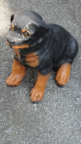 Welpe rottweiler lebensgroß - welpe,