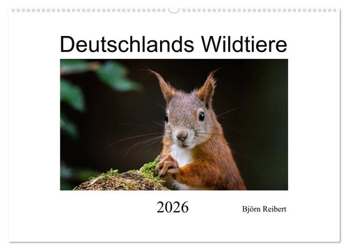 Björn reibert deutschlands - björn,