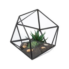 Pflanzenterrarium Kakteenhaus Florarium Pflanzenglas Tischterrarium Glaskasten