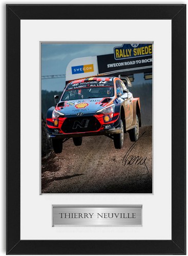 Thierry neuville world - thierry,