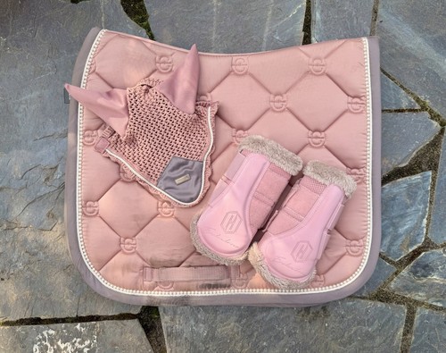Equestrian stockholm dressur - equestrian,