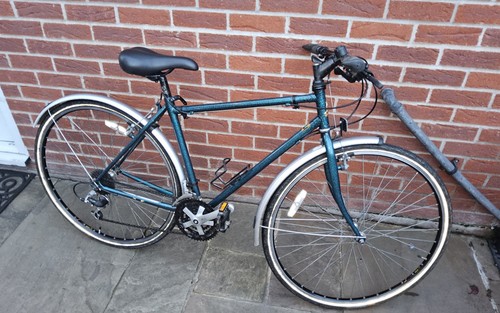 Raleigh reynolds 501 - reynolds,
