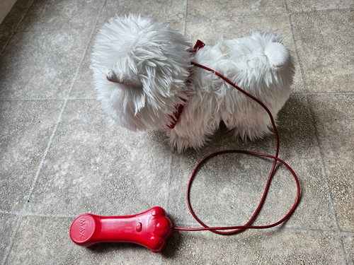Pipi max hund spielzeug - pipi,