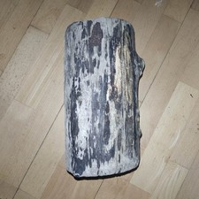 Schwemmholz Treibholz - großer dicker Klotz - steht gut - Lampe Skulptur Möbel