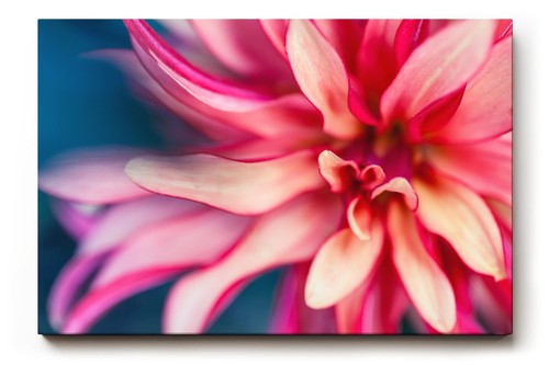 Sinus art wandbild - sinus,