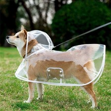 Hunde regenmantel regenschutz - hunde,