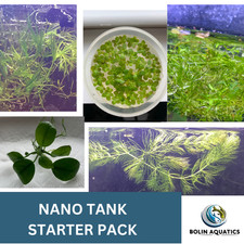 Nano Aquarium 5 Plants Starter