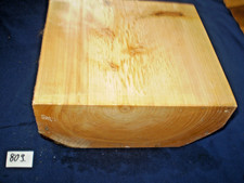 Zypresse Scheinzypresse