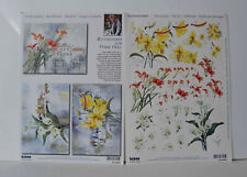  3D Stanzbogen Reddy basteln Scrapbooking  Motivbogen mit Hintegrund Bild