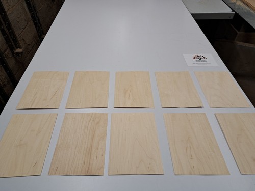 Holzfurnier musterpaket 10 - holzfurnier,