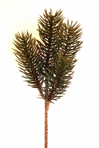 Tannenzweig 24cm kunsttanne - tannenzweig,