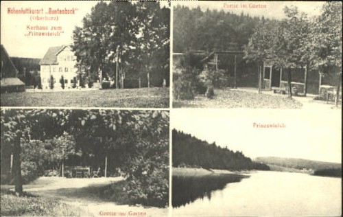Buntenbock kurhaus teich - buntenbock,