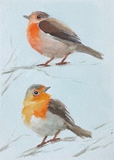 Rotkehlchen Original