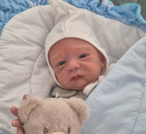 Reborn baby tanner by - baby, "tanner"