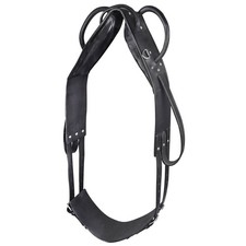 Waldhausen Schwarz WB Longier-