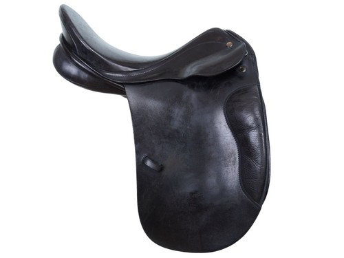 Prestige appaloosa dressage - appaloosa,