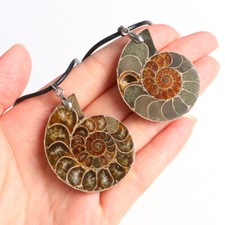 Ammonit Anhänger Fossilien