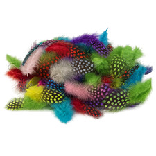 Perlhuhnfedern 5g Natur & Bunt