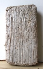 Treibholz Schwemmholz Driftwood  1 dickes Brett  Regal Dekoration Basteln 21 cm