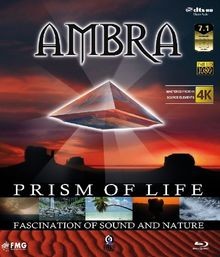 Ambra prism of life - ambra,