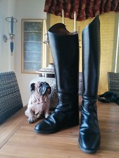 Cavallo lange Dressur