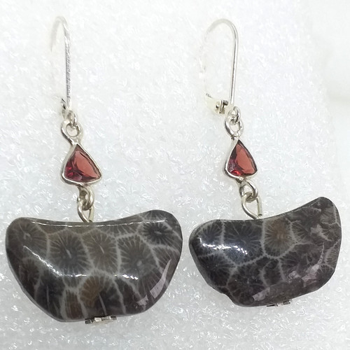 Petoskey fossilkoralle - ,