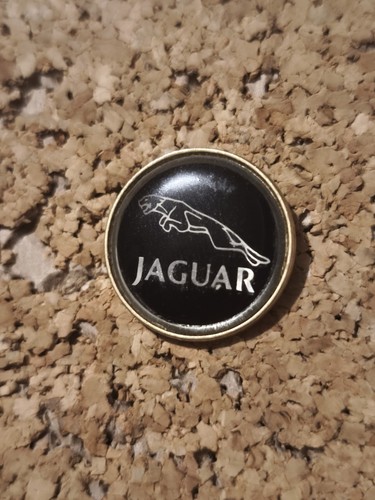 Pins jaguar racing luxus - racing, auto