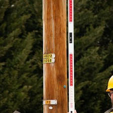 katapult height stick used for