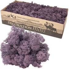 Karton Islandmoos Aubergine - 500g