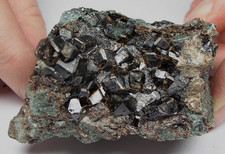 ANDRADIT Granat auf SPHALERIT