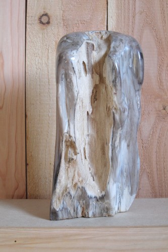 Versteinertes holz - versteinertes,