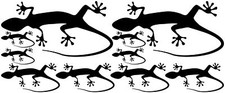 10x Gecko Salamander Lizard