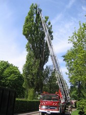 Top dl feuerwehrdrehleiter - *top*,