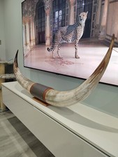 Authentischer GROßER echter