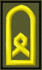 Bundeswehr Rangabzeichen